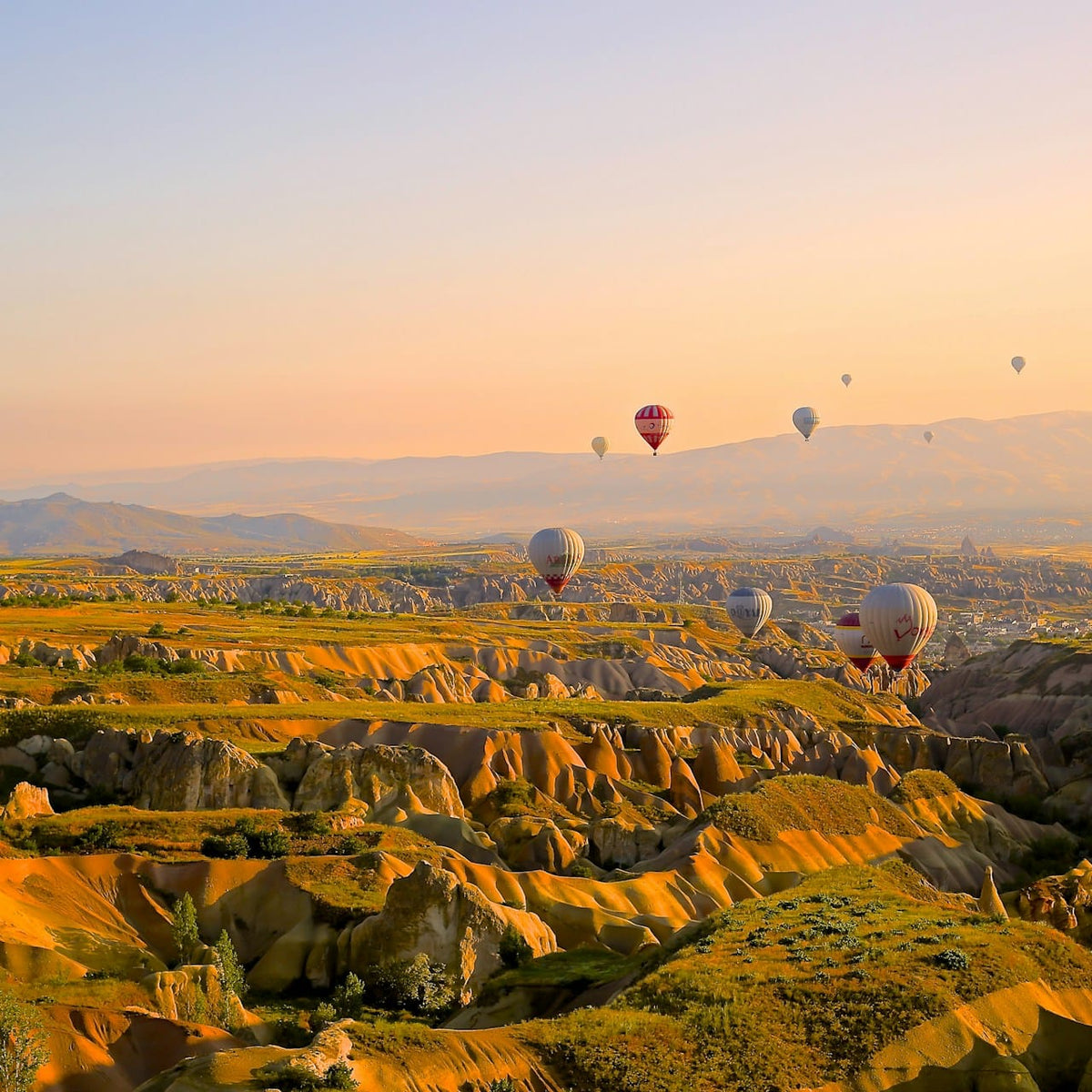 Turkey